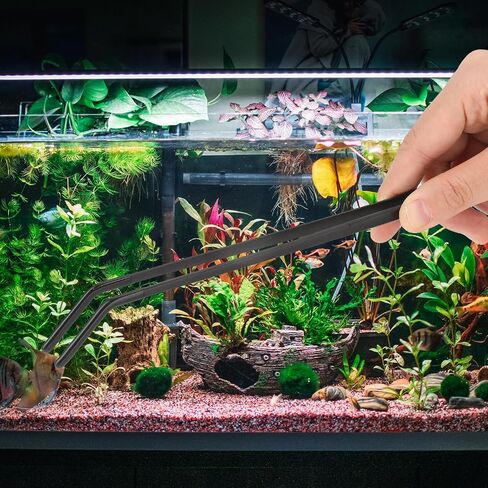 2 Pcs Reptile Feeding Tongs Long Aquarium Tweezers for Lizards Bearded Dragons, Worms Tongs Tweezers, Straight Curved Feeder Tongs Stainless Steel Aquascaping Tools (27cm/10.6", Black) in Saudi Arabia