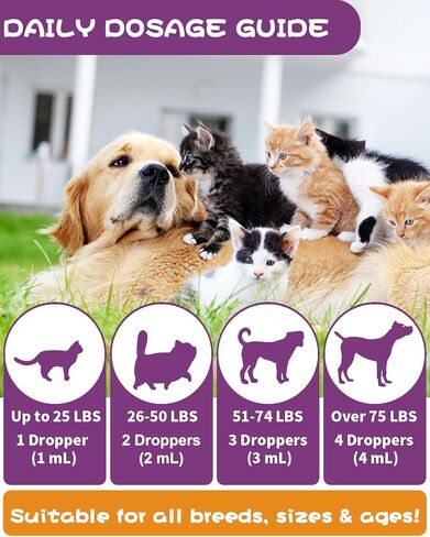 علاج التهابات المسالك البولية لدى القطط والكلاب | 60 مل يدعم المثانة والكلى وسلس البول | مكمل التوت البري للقطط والكلاب | التهاب المسالك البولية للكلاب | التهاب المسالك البولية في القطط | دعم الكلى للقطط والكلاب | نكهة الدجاج in Kuwait