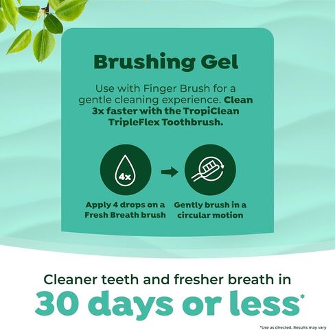 TropiClean Fresh Breath Dog Oral Care Kit | Complete Dog Toothbrush and Toothpaste Set for Plaque & Tartar Control | Dog Tooth Brushing Kit for Large Dogs in Saudi Arabia
