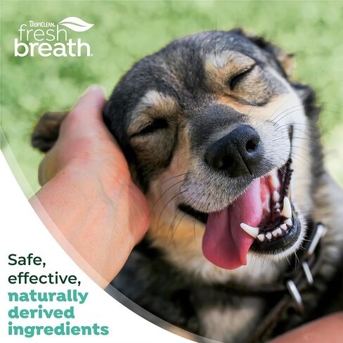 TropiClean Fresh Breath Dog Oral Care Kit | Complete Dog Toothbrush and Toothpaste Set for Plaque & Tartar Control | Dog Tooth Brushing Kit for Large Dogs in Saudi Arabia