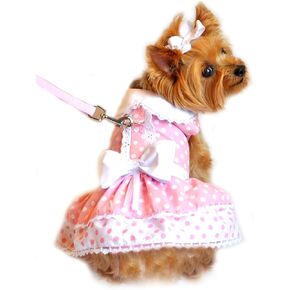 طقم فستان لحزام الكلاب باللون الوردي منقط ودانتيل من DOGGIE DESIGN (متوسط)
