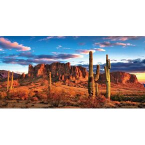 YongFoto Reptile Terrarium Background 24x12 inch Western Wilderness Desert Rocky Bush Thorns Mexico Saguaro Cactus Reptile Habitat Tank Background Bearded Dragon Fish Tank Aquarium Background Backdrop