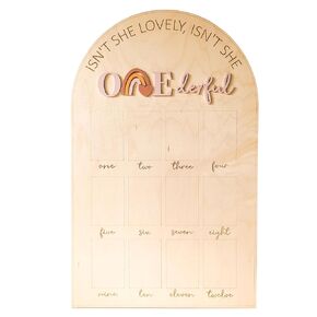 One Year Of Baby Photo Display, Little Miss Onederful Birthday Decorations, First Birthday Picture Board