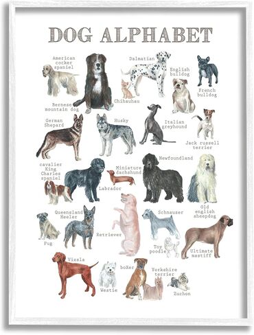 Stupell Industries Dog Alphabet Multiple Breeds Educational Animals Chart, Design by Dishique in Saudi Arabia