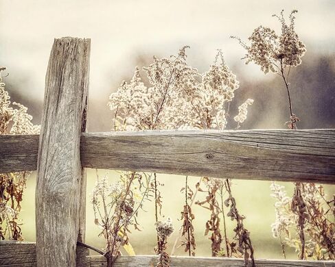 Country Farmhouse Wall Decor Print - 8x10" Unframed - Golden Yellow Rustic Pasture Fence Landscape - Living Room or Kitchen Wall Art in Saudi Arabia