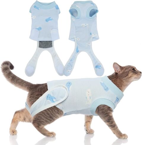 DENTRUN Cat Surgery Anti-Licking Spay Recovery Suit, Cat Small Dog Cone E-Collar Alternative Recovery Shirt After Surgery for Male Female Abdominal Wounds Bandages, Pet Surgical Recovery Snuggly Suit in Saudi Arabia