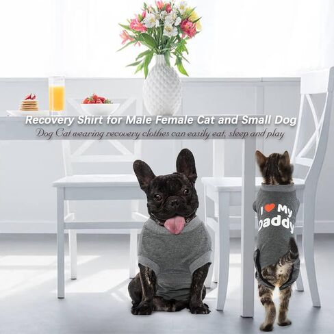 DENTRUN Cat Surgery Anti-Licking Spay Recovery Suit, Cat Small Dog Cone E-Collar Alternative Recovery Shirt After Surgery for Male Female Abdominal Wounds Bandages, Pet Surgical Recovery Snuggly Suit in Saudi Arabia