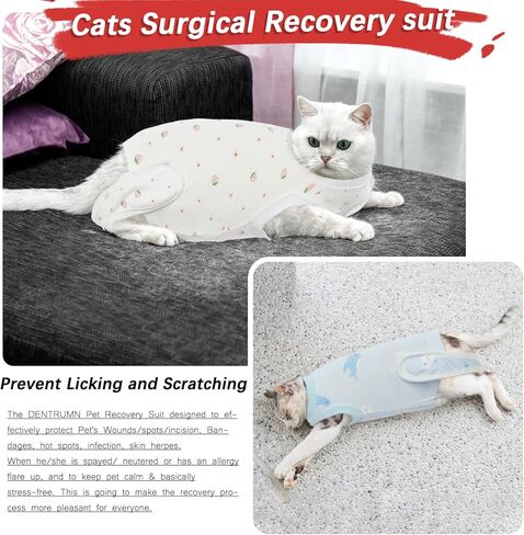 DENTRUN Cat Surgery Anti-Licking Spay Recovery Suit, Cat Small Dog Cone E-Collar Alternative Recovery Shirt After Surgery for Male Female Abdominal Wounds Bandages, Pet Surgical Recovery Snuggly Suit in Saudi Arabia