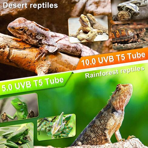 T5 HO UVB Reptile Light Hood, 4W Reptile Terrarium Hood with UVB 10.0 Fluorescent Lamp Tube, Suitable for Desert Reptiles(4W,7 Inches) in Saudi Arabia