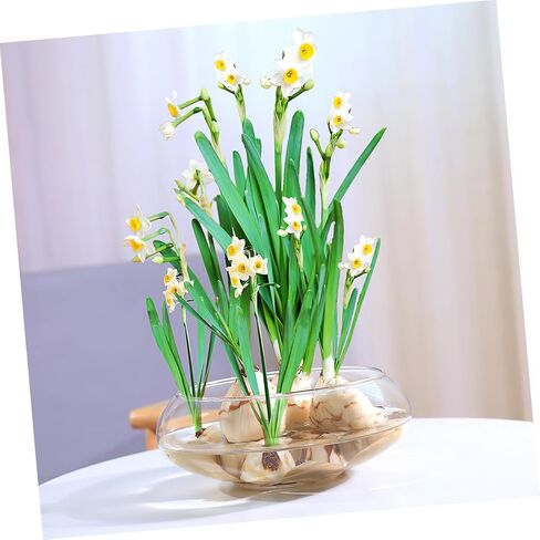 POPETPOP Transparent Landscape Small Fish Tank Nursery Flower Pots Decorative Betta Tank Tabletop Betta Tank Multi-function Betta Tank Transparent Aquarium Tank Office Plant Plastic Candle in Saudi Arabia