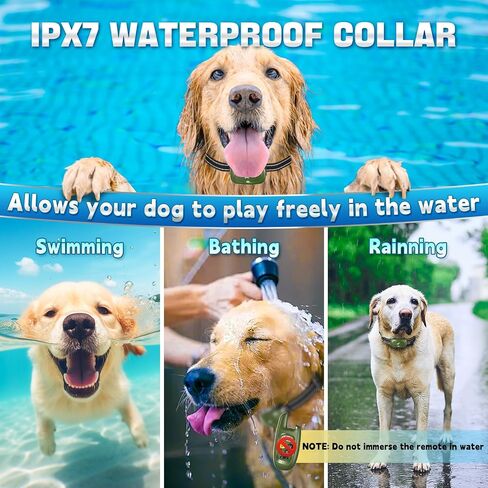 Dog Shock Collar with Remote - [2024 Newly Upgraded] Dog Training Collar for Small Medium Large Dogs, Rechargeable E Collar for Dogs Training, IPX7 Waterproof Electric Collar with Unique Shock-Lock in Saudi Arabia