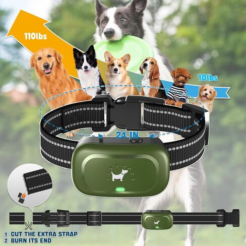 Dog Shock Collar with Remote - [2024 Newly Upgraded] Dog Training Collar for Small Medium Large Dogs, Rechargeable E Collar for Dogs Training, IPX7 Waterproof Electric Collar with Unique Shock-Lock in Saudi Arabia