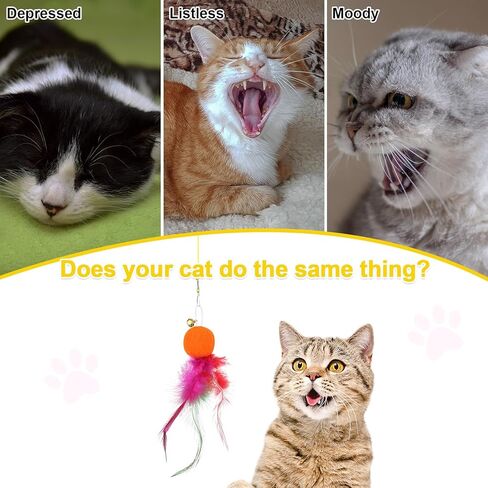 6 قطع من لعبة القطط المعلقة، لعبة تعليق القطط على الباب، لعبة القطط التفاعلية، ألعاب ريش القطط، دعابة قابلة للسحب، إطار باب، ألعاب سلسلة للقطط للعب في الأماكن المغلقة وممارسة الصيد in Kuwait