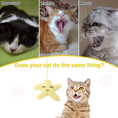 6 Pcs Hanging Cat Toy, Cat Hanging Toy Door Hanging Cat Toy Interactive Cat Feather Toys Cat Teaser Retractable Doorway Hanger Door Frame Cat String Toys for Indoor Play Hunting Exercise in Saudi Arabia