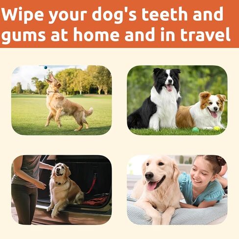Dental Care Finger Wipes - Dog Tooth Brushing Kit Dental Wipes - Dog Teeth Cleaning Finger Wipes - Reduces Plaque & Freshens Breath for Dogs and Cats - 40 Count in Saudi Arabia