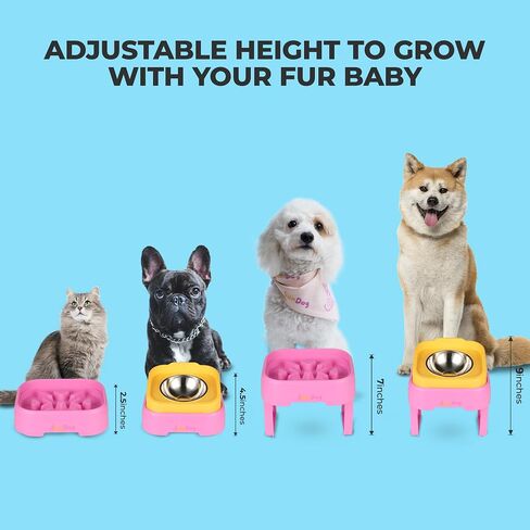 SunDog 2-in-1 Elevated Slow Feeder Dog Bowls – Space Saving, Stacked, Adjustable with Stand - Stainless-Steel Raised Bowls Easy Cleaning – for Small Dogs and Cats in Saudi Arabia