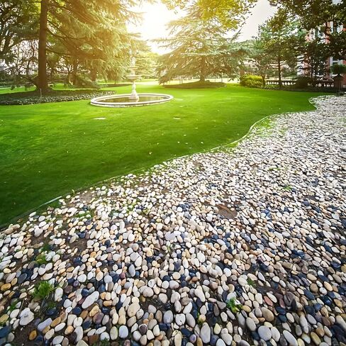 WHANLEY L&Q 2.8 رطل صخور نهرية طبيعية (2 ~ 4 بوصات) حصى مصقولة، صخور للنباتات، أحجار زخرفية، أحجار المناظر الطبيعية، صخور تررم، صخور حوض السمك، صخور النهر، الحصى، الحصى للداخلية، الصخور... in Kuwait