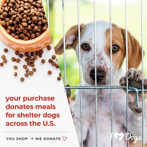 غلاف معجون حبوب منع الحمل بروبيوتيك من iHeartDogs للكلاب - قناع حبوب بنكهة الدجاج ولحم الخنزير المقدد للكلاب التي يصعب إرضاءها - إخفاء الدواء في عجينة إخفاء الحبوب اللذيذة هذه in Kuwait