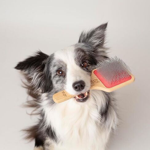 Brush for Dogs and Cats, Ideal for Medium and Large Pets with Long Hair, Professional Carder in Ash Wood, Handmade in Italy - 21.5 x 9.4 cm, with 24 mm Long Teeth and 45° Inclination in Saudi Arabia