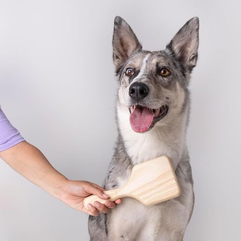 Brush for Dogs and Cats, Ideal for Medium and Large Pets with Long Hair, Professional Carder in Ash Wood, Handmade in Italy - 21.5 x 9.4 cm, with 24 mm Long Teeth and 45° Inclination in Saudi Arabia