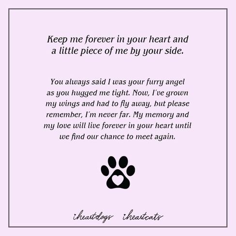 قلادة iHeartDogs Dog Urn - "Forever In My Heart" مجوهرات تذكارية من الفولاذ المقاوم للصدأ لرماد الحيوانات الأليفة in Kuwait