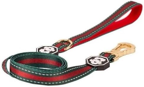 Leash Dog - Leash Retractable - Leash for Small Dogs - Leash for Big Dogs - Leash Training - Dog Swag - Leash Jogging by Fresh Pawz (Large, Death Row) in Saudi Arabia