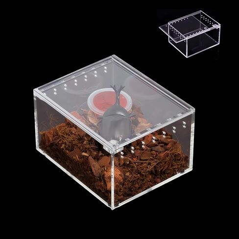 insect breeding box Reptile Feeding Box, waterproof Enclosure enclosure for arboreal Tarantula Scorpion Sling Lizards Snake Gecko jumping spider snail Isopods (3.9 * 3.3 * 2.3inch) in Kuwait