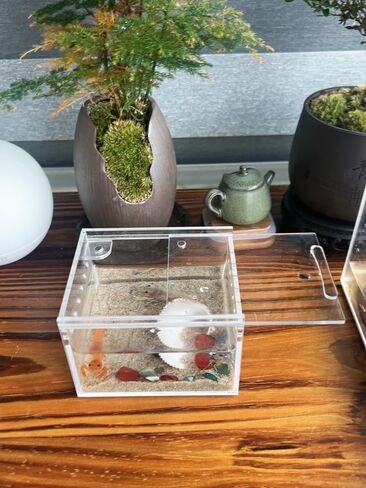insect breeding box Reptile Feeding Box, waterproof Enclosure enclosure for arboreal Tarantula Scorpion Sling Lizards Snake Gecko jumping spider snail Isopods (3.9 * 3.3 * 2.3inch) in Kuwait