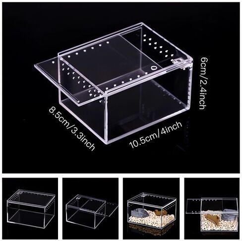 insect breeding box Reptile Feeding Box, waterproof Enclosure enclosure for arboreal Tarantula Scorpion Sling Lizards Snake Gecko jumping spider snail Isopods (3.9 * 3.3 * 2.3inch) in Kuwait