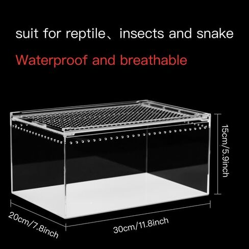 insect breeding box Reptile Feeding Box, waterproof Enclosure enclosure for arboreal Tarantula Scorpion Sling Lizards Snake Gecko jumping spider snail Isopods (3.9 * 3.3 * 2.3inch) in Kuwait