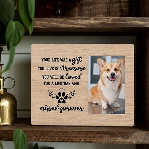 IAXIC Sympathy Photo Frame Memorial Picture Frame Cat Memorial Gifts for Loss of Cat Pet Loss Gifts to Honor and Remember a Cat, Grief Gifts for Women Remembrance Decorations for Wall Desk Tabletop in Saudi Arabia