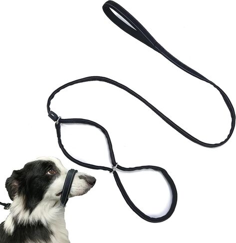 Multifunctional Figure 8 Padded Head Halter Walking Training Reflective Slip Lead Dog Muzzle Webbing Leash (Grey) in Saudi Arabia