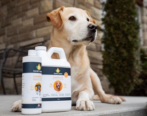 Camelina Oil for Dogs - Omega 3, 6, 9 Supplement for Healthy Skin, Shiny Coat & Flexible Joints - Dog Joint Supplement - Natural Canine Wellness - Omega 3 for Dogs (Pump Included - 64oz) in Saudi Arabia