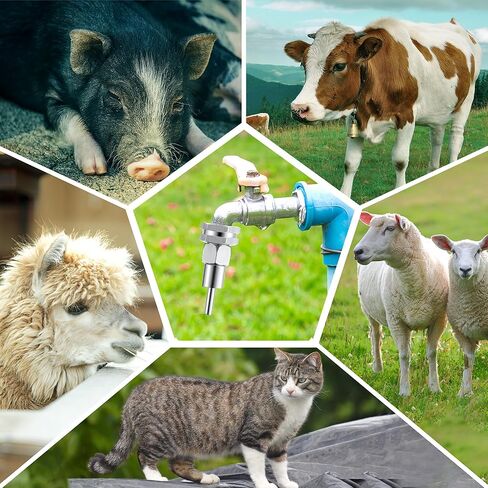 2 جهاز كمبيوتر شخصى الفولاذ المقاوم للصدأ التلقائي شارب المياه 1/2 ''3/4'' التلقائي الحلمة مياه الشرب موصل خزان المياه النحاس مع فتاحة ثقب وشريط سباك للكلاب والحيوانات الأليفة الأخرى in Kuwait