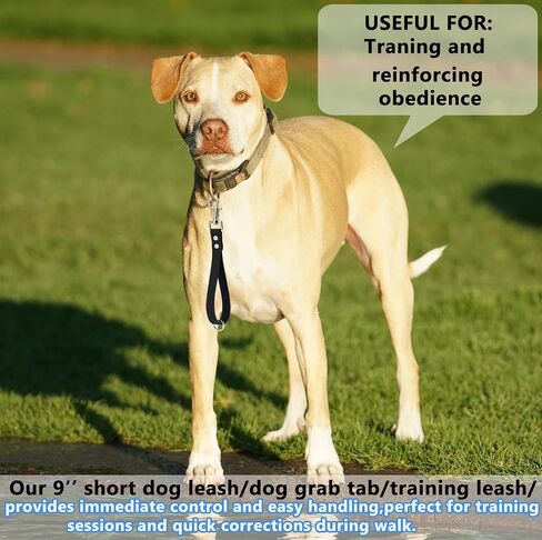 Short Dog Leash - 9 Inch, 0.6 Inch Wide Heavy Duty Traffic Leash for Dogs Short Leash for Dog Training Control, Waterproof PVC Dog Training Leashes Dog Grab Tab Dog Short Leash (Black, 9'') in Saudi Arabia