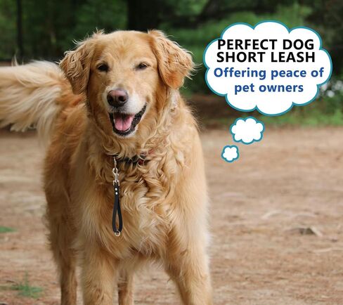 Short Dog Leash - 9 Inch, 0.6 Inch Wide Heavy Duty Traffic Leash for Dogs Short Leash for Dog Training Control, Waterproof PVC Dog Training Leashes Dog Grab Tab Dog Short Leash (Black, 9'') in Saudi Arabia