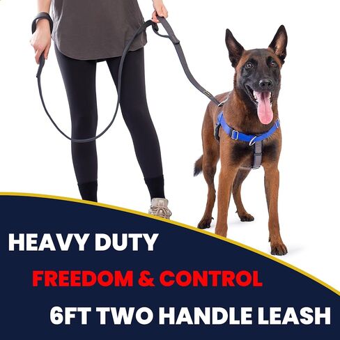 Dog Leash Two Handles, with Sandwich Mesh-Lined Webbing Traffic Padded, 6ft Long for Control Safety Training for Large Dogs Pull, Dual Handles Leads (Black/Grey, 1'' X 6ft.) in Saudi Arabia