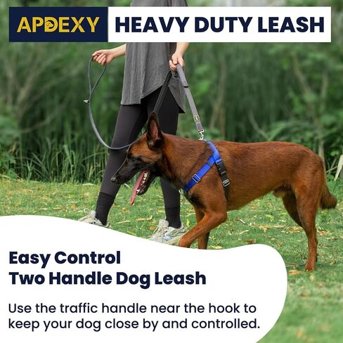 Dog Leash Two Handles, with Sandwich Mesh-Lined Webbing Traffic Padded, 6ft Long for Control Safety Training for Large Dogs Pull, Dual Handles Leads (Black/Grey, 1'' X 6ft.) in Saudi Arabia