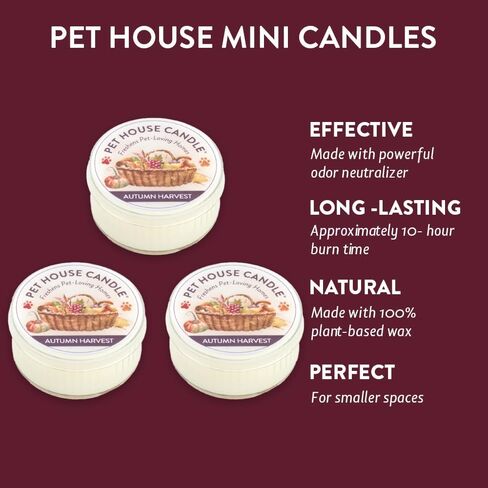 شمعة صغيرة من One Fur All Pet House - عبوة من 3 قطع على شكل كب كيك ليمون - شمعة صغيرة مزيلة لرائحة الحيوانات الأليفة - شمعة شمع طبيعية - مجموعة شموع صغيرة - شمعة معطرة غير سامة صديقة للحيوانات الأليفة in Kuwait