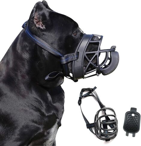 كمامة للكلاب مع سلة سيليكون للتغذية البطيئة، كمامة للكلاب العدوانية الصغيرة والمتوسطة والكبيرة، غطاء فم قفص إنساني ناعم للتدريب الإيجابي والمضغ المضاد للنباح، سهل القبول، أسود in Kuwait