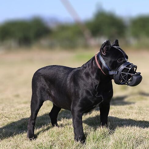 كمامة للكلاب مع سلة سيليكون للتغذية البطيئة، كمامة للكلاب العدوانية الصغيرة والمتوسطة والكبيرة، غطاء فم قفص إنساني ناعم للتدريب الإيجابي والمضغ المضاد للنباح، سهل القبول، أسود in Kuwait