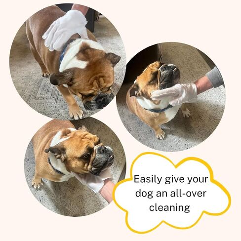 Portable Disposable Pet Cleaning Gloves with Aloe Extract and Jojoba Oil - Hypoallergenic, Unscented, Gentle Cleaning and Deodorizing, Nourishes and Smooths Hair, Safe for Dogs in Kuwait