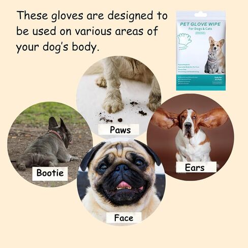 Portable Disposable Pet Cleaning Gloves with Aloe Extract and Jojoba Oil - Hypoallergenic, Unscented, Gentle Cleaning and Deodorizing, Nourishes and Smooths Hair, Safe for Dogs in Kuwait