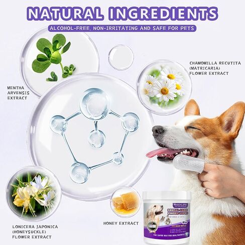 55 Counts Dogs & Cats Dental Care Wipes - Dog Teeth Cleaning Finger Wipes - Dog Tooth Brushing Kit Dental Wipes - Remove Bad Breath by Removing Plaque and Tartar Buildup & Freshens Breath in Saudi Arabia