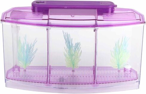 Yctze LED Acrylic Aquarium Fish with Three Divisions Breeding Isolation Box and Kit - Ideal for Small Fish, Betta Fish, Dual and Mini Aquarium Environment () in Saudi Arabia