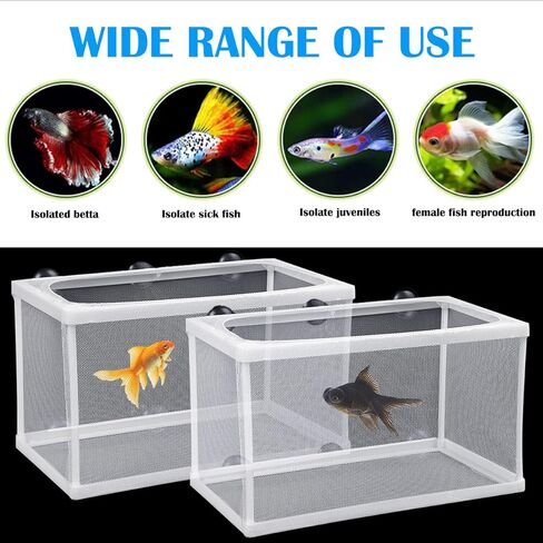 2 قطعة صندوق مربي تفريخ الأسماك فصل صافي إطار بلاستيكي صندوق المربي خزان الأسماك صندوق المربي مع كوب الشفط لحوض السمك in Kuwait