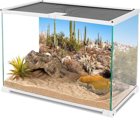 YongFoto الزواحف تررم الخلفية 36x18 بوصة الصحراء البرية الغربية روكي بوش الشوك المكسيك ساجوارو الصبار الزواحف الموئل خزان الخلفية الملتحية التنين خزان الأسماك حوض السمك خلفية الخلفية in Kuwait