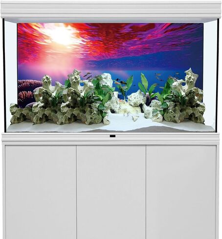 YongFoto Fish Tank Background 24x16 inch Aquarium Background Coral Seaweed Reef Rock Tropical Fish Underwater Sea World Backdrop Reptile Terrarium Background Bearded Dragon Habitat Background in Kuwait