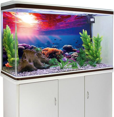 YongFoto Fish Tank Background 24x16 inch Aquarium Background Coral Seaweed Reef Rock Tropical Fish Underwater Sea World Backdrop Reptile Terrarium Background Bearded Dragon Habitat Background in Kuwait