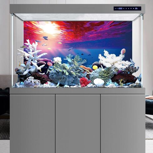 YongFoto Fish Tank Background 24x16 inch Aquarium Background Coral Seaweed Reef Rock Tropical Fish Underwater Sea World Backdrop Reptile Terrarium Background Bearded Dragon Habitat Background in Kuwait